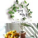 주렁주렁제철농장