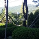 1호선공인중개사사무소 이미지