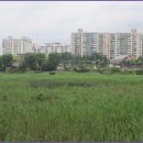 올레길 도심형 1코스 이미지