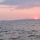 망 조 대 이미지