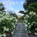 세인트 인 우둠지 펜션 이미지