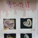 (특활)스포츠센터 / 동물 수업🐍 이미지