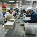 추부만인산농협 이미지