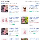 세계그릇도매 | [데이트] 부산 남포 소품샵 | 해전 | 몬치치 성지 | 일본 정품 직수입 | 도매 전문 소품샵