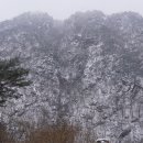 도롱1교 Daum카페