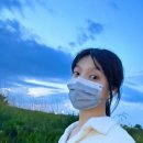 미모가눈썹