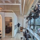 미쁘다헤어 이미지