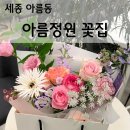 세종 아름동 꽃집 아름정원 솔직 후기!!!