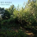 연화공인중개사사무소 이미지