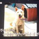이은석농장 네이버블로그