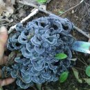 다모아 민박펜션 이미지