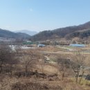 월계 이미지