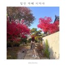 산황로 | 일산 고양 단풍 카페 시카사 | 고즈넉한 일본풍 오두막 감성 카페