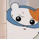 에이스 종합광고 이미지