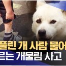 도마카센타 이미지