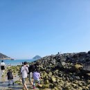 은빛 비치는 돌 | 남해 상주은모래비치 해루질 물때 확인