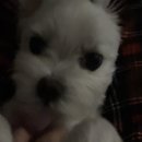 진호상사 이미지