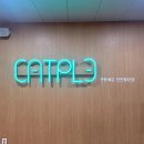 캣플헤븐 천안불당점 이미지