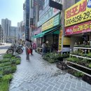 가야농약종묘사 이미지