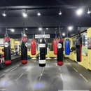 파이널복싱짐 이미지