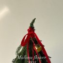 뮤플라워 이미지