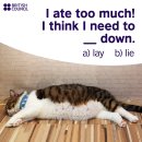 'I ate too much I think to ___ down.' 이미지