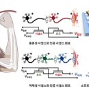모사개발 이미지