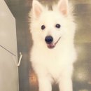 제연동물병원 이미지