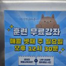 (주)애니언파크 이미지