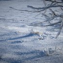 약속의 땅 이미지