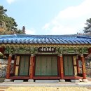 순천-27호 이미지