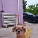 솔동산로 이미지