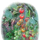 횡성산촌민박 이미지