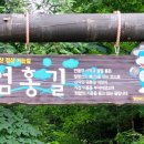 대관령 그림같은 펜션 이미지