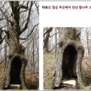 매봉산정상 이미지