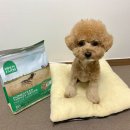 가증농장 이미지