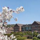 한국침례신학대학교 대학원 이미지