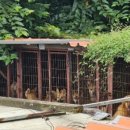 거야농장 이미지