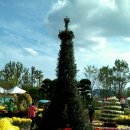 모텔정원 이미지