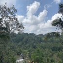 세세농장 이미지