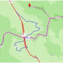 순천-17호 이미지