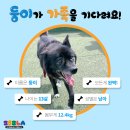 별빛쉼표 이미지