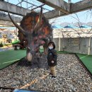 우석헌자연사박물관 이미지