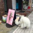 더블에스스튜디오 이미지