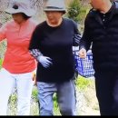 백양농장 이미지