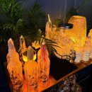 충주시 동수10길 39 | 충주감성술집 위스키 와인바 글래드 추천