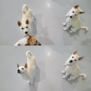 신디농장 이미지