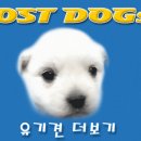 군산시-00207 네이버블로그