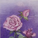 색연필 일러스트 회원전 15. 10 이미지