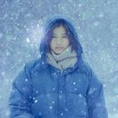 포레스트 이미지